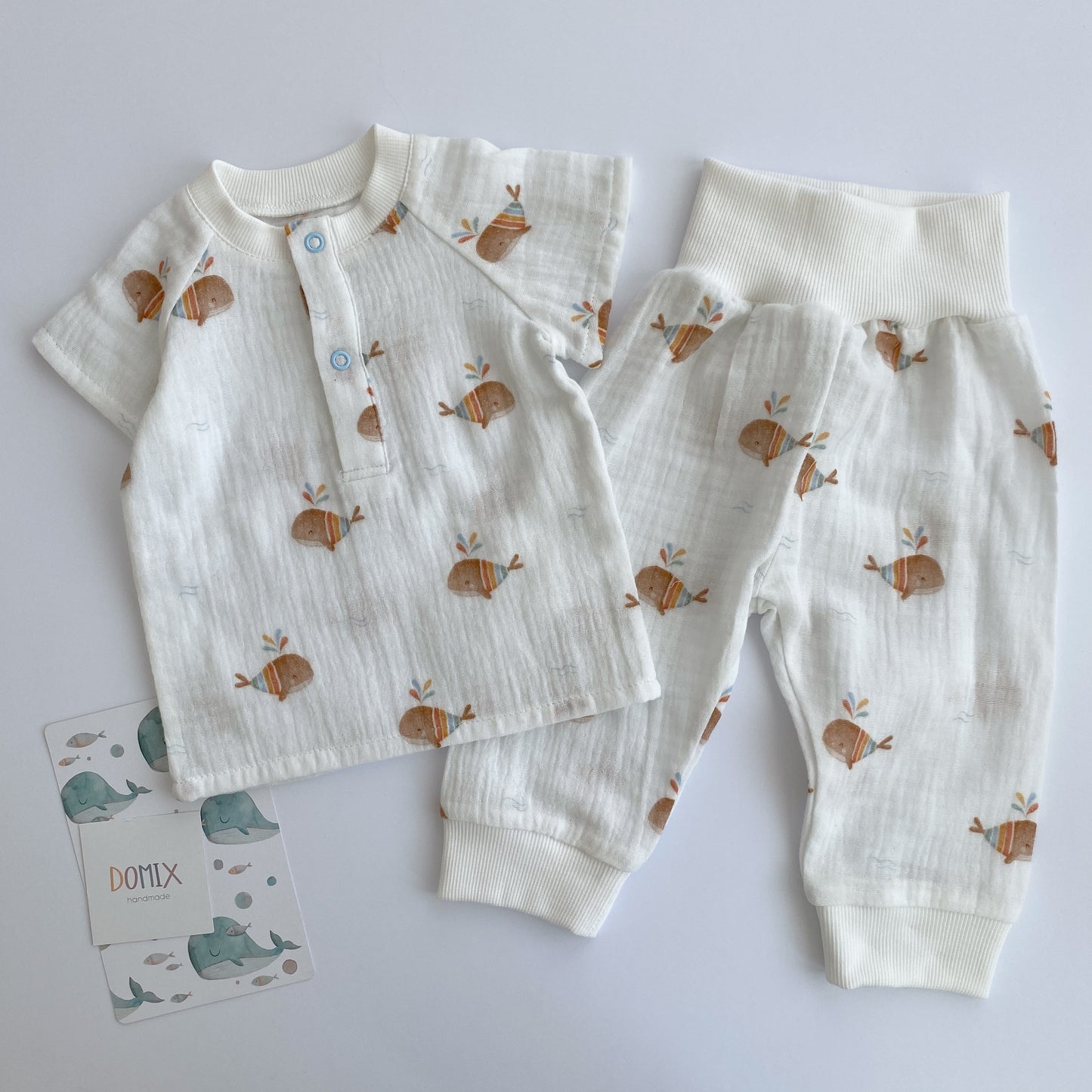 Whales Set