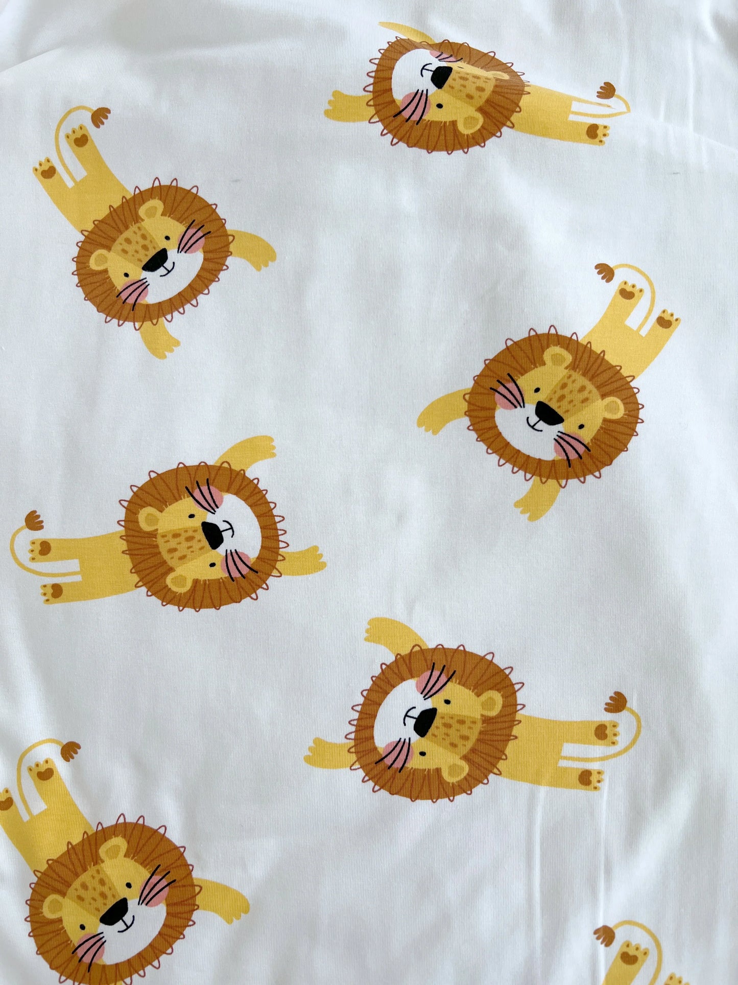 Lion Blanket - Domix